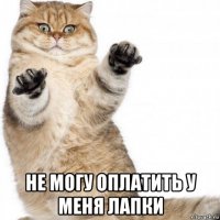  не могу оплатить у меня лапки