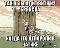 так выглядит витя из брянска когда его отпороли в чатике