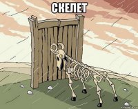 скелет 