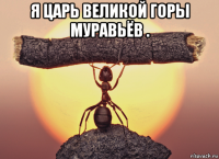 я царь великой горы муравьёв . 