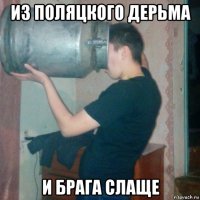 из поляцкого дерьма и брага слаще