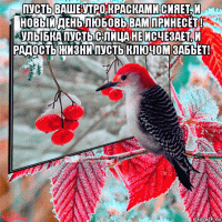 пусть ваше утро красками сияет, и новый день любовь вам принесёт ! улыбка пусть с лица не исчезает, и радость жизни пусть ключом забьёт! 