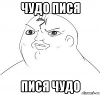 чудо пися пися чудо