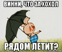 винни, что за хохол рядом летит?