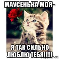 маусенька моя- я так сильно люблю тебя!!!!!