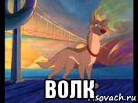  волк