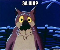за шо? 