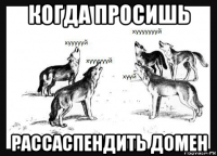 когда просишь рассаспендить домен