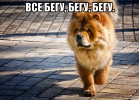 все бегу, бегу, бегу. 