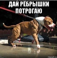 дай рёбрышки потрогаю 