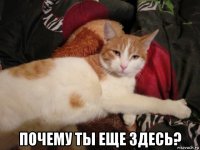  почему ты еще здесь?