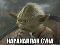  каракалпак сука
