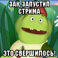 зак, запустил стрима это свершилось!