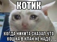 котик когда никита сказал что кошка в клан не надо
