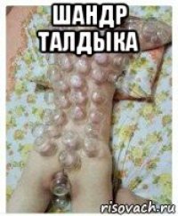 шандр талдыка 