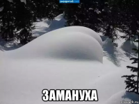  замануха