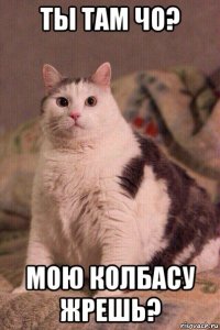 ты там чо? мою колбасу жрешь?