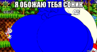 я обожаю тебя соник 