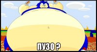  пузо ?