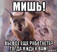 мишь! вы все еще работаете? тогда я иду к вам!