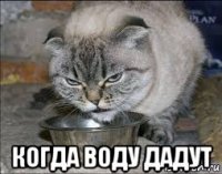  когда воду дадут