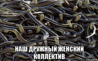  наш дружный женский коллектив