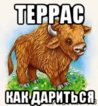 террас как дариться