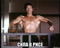  сила в рисе