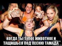  когда ты тупое животное и тащишься под песню тамада