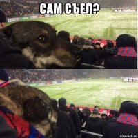 сам съел? 