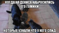 когда на дениса набросились его гомики которые узнали что у него спид