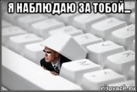 я наблюдаю за тобой... 