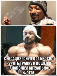  сенсация! снуп дог бросил курить травку и пошёл в качалочку! актуальное фото!