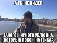 а ты не видел такого жирного ублюдка, который похож на гейба?