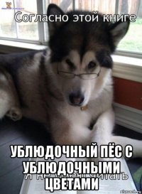  ублюдочный пёс с ублюдочными цветами