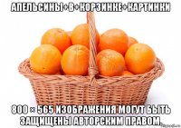 апельсины+в+корзинке+картинки 800 × 565 изображения могут быть защищены авторским правом.