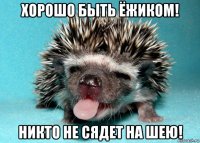 хорошо быть ёжиком! никто не сядет на шею!