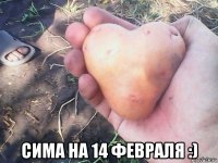  сима на 14 февраля :)