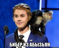  бибер из абызьян