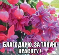  благодарю, за такую красоту !
