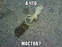 а что мостов?