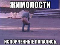 жимолости испорченные попались