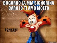 bogorno la mia signorina caro io ti amo molto 