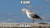 я вам хлебну
