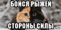 бойся рыжей стороны силы