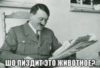  шо пиздит это животное?