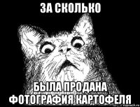 за сколько была продана фотография картофеля