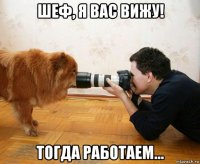 шеф, я вас вижу! тогда работаем...