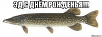 эд,с днём рожденья!!! 