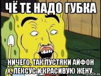 чё те надо губка ничего, так пустяки айфон x, лексус и красивую жену.